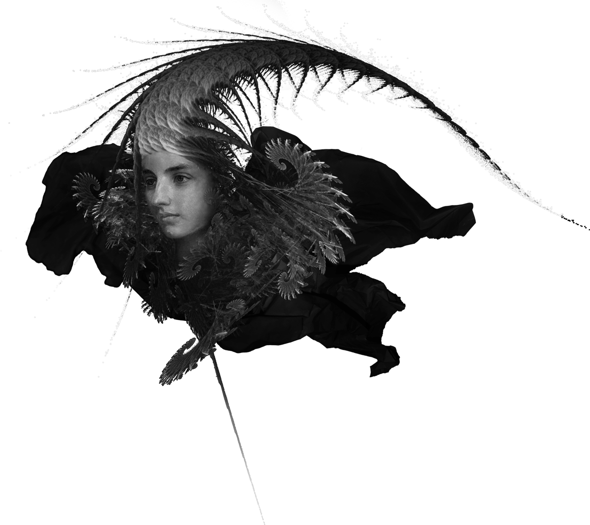Главная